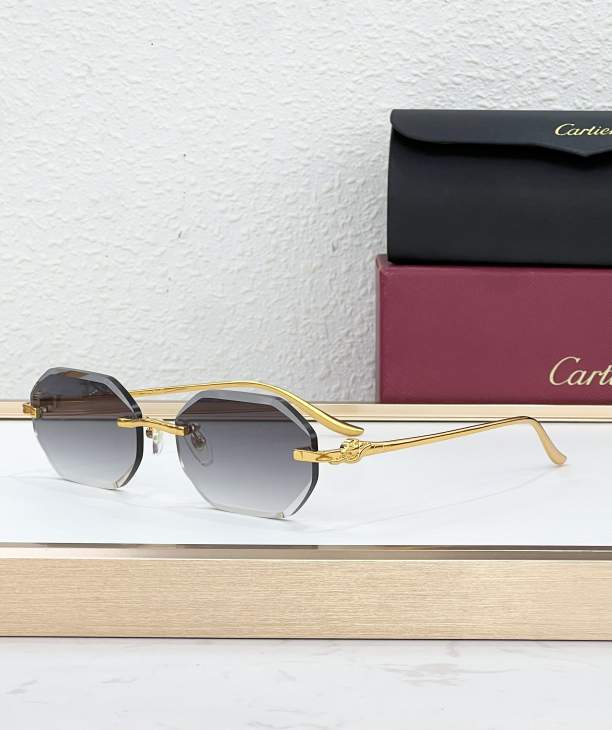 Picture of Cartier Sunglasses _SKUfw79280694fw